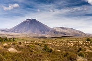 New Zealand